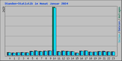 Stunden-Statistik im Monat Januar 2024