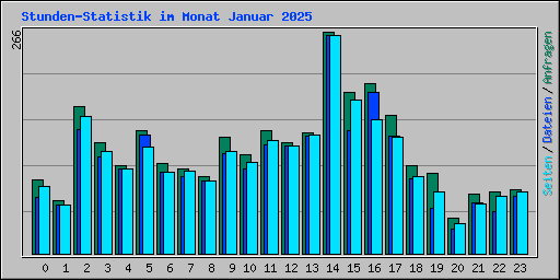 Stunden-Statistik im Monat Januar 2025
