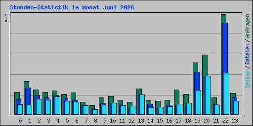 Stunden-Statistik im Monat Juni 2026