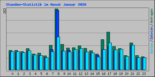 Stunden-Statistik im Monat Januar 2026